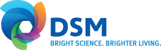 DSM-Logo